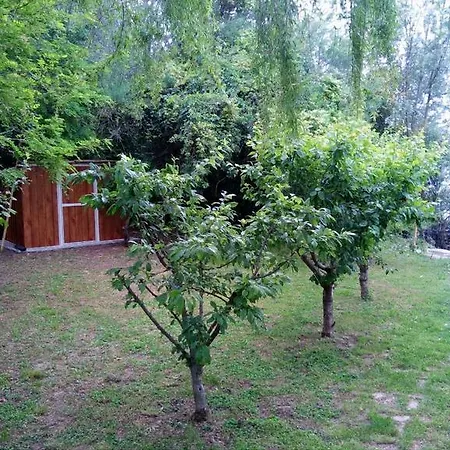 Casone Maranghetto בית נופש *